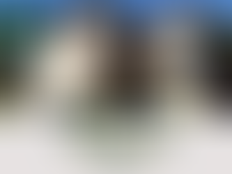 Residência na Linha Principal - Crissiumal/RS