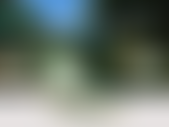 Chácara na Vila Bender - Crissiumal/RS