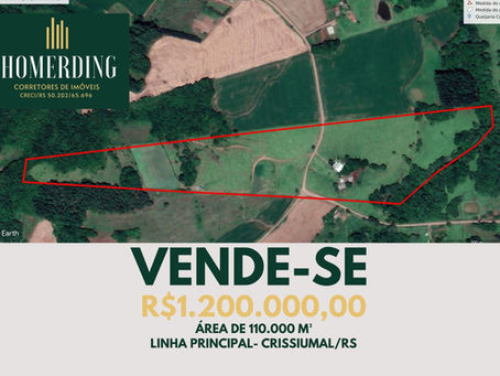 Área de terras na Linha Principal - Crissiumal/RS