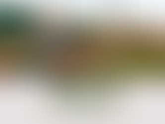 Área de terras em Lajeado Crissiumal - Crissiumal/RS