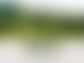 Chácara na Zona Trentini - Crissiumal/RS