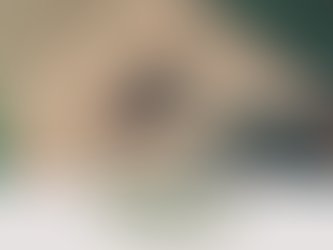 Área de terras em Vista Nova - Crissiumal/RS