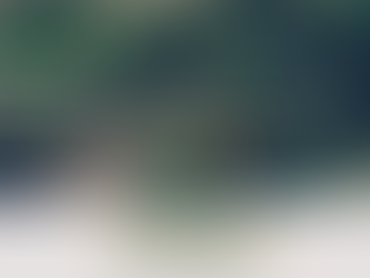 Área de terras - Crissiumal/RS