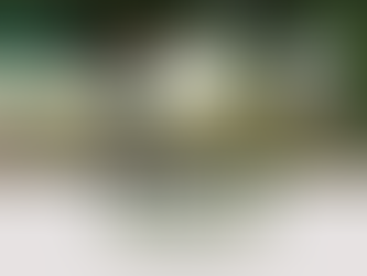 Terreno na Av. Palmeira das Missões - Crissiumal/RS