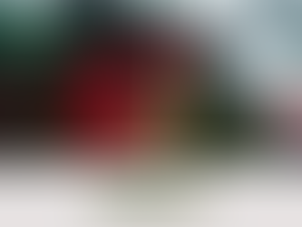 Chácara em Esquina Cardoso - Crissiumal/RS