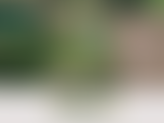 Chácara em Vista Alegre - Crissiumal/RS