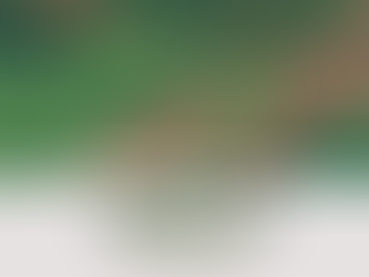 Terreno na Rua Pacaembu - Crissiumal/RS