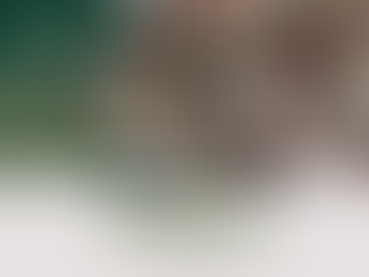 Terreno na Rua dos Angicos - Crissiumal/RS