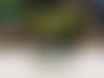 Terreno na Rua Inhacorá - Crissiumal/RS