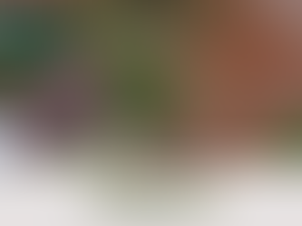 Terreno na Rua San Marino - Crissiumal/RS