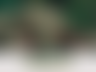 Chácara em Vista Alegre - Crissiumal/RS