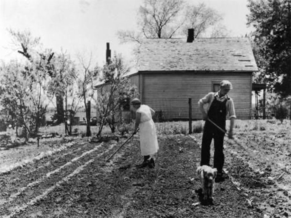 Couple planting a family garden