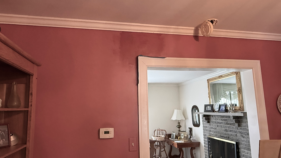 Sun faded wall leaves paint match impossible