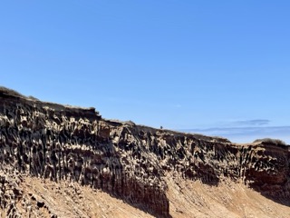 Sand cliffs at Cabrillo National Park