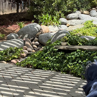 a woman napping outdoors