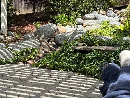 a woman napping outdoors