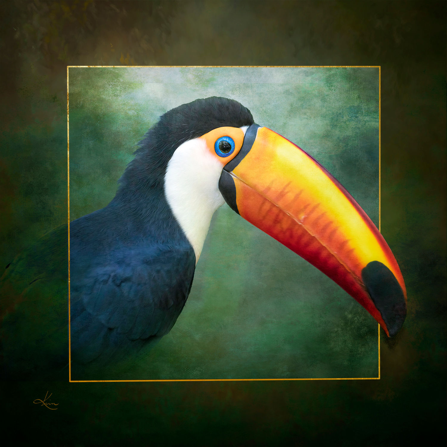 Prominent Proboscis - Bird Wall Art - Toucan