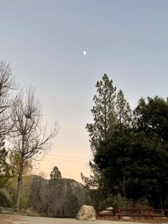 Sunset in Pine Valley