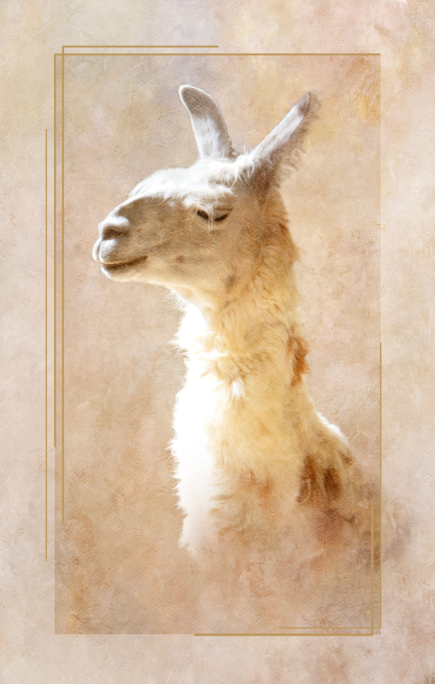 Wildlife Wall Art - Momma Llama