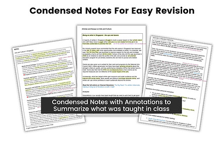 IP English Condensed Notes_edited.jpg