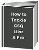 JC Economics Tuition - CSQ Techniques