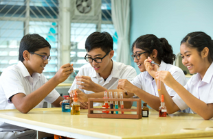Post PSLE 2023: Three Things You Can Expect from Full Subject Based Banding (SBB) in 2024