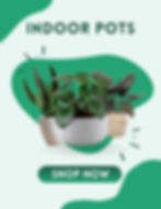 Shop Indoor Pots on Phooldaan