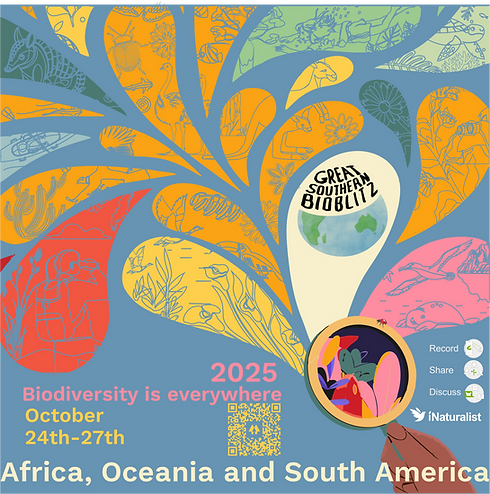 GSB2025_1x1.png