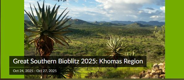 join the project :https://www.inaturalist.org/projects/great-southern-bioblitz-2025-khomas-region