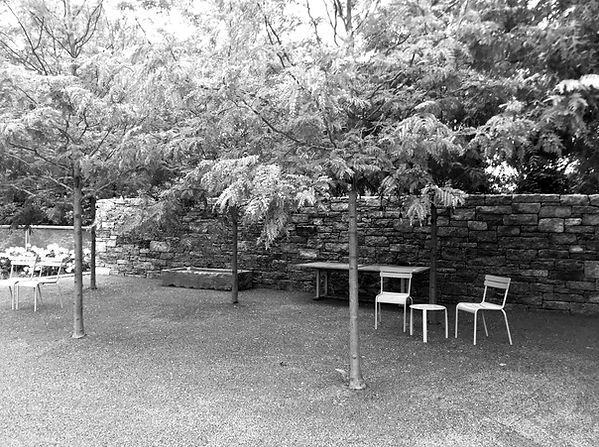 Grove with seating in Massachusetts residential landscape