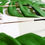Miniatura: Hexagonal premium verde Unissex