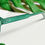 Miniatura: Florida verde unissex