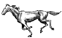 white-horse-l.gif