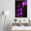 Miniature : orchids