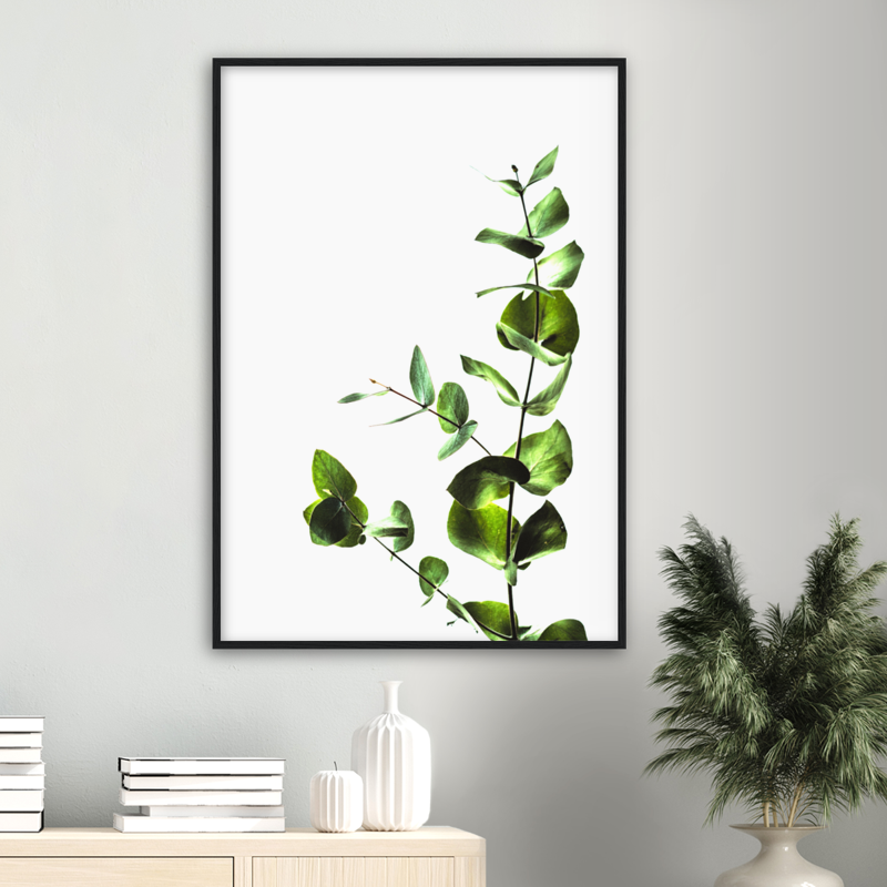 Thumbnail: succulents