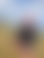 VISPO行きました（桜梅組）ー梅賀山保育園　益田市保育園