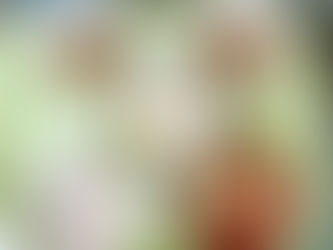 本日の給食メニュー(10/17) ー梅賀山保育園 益田市保育園