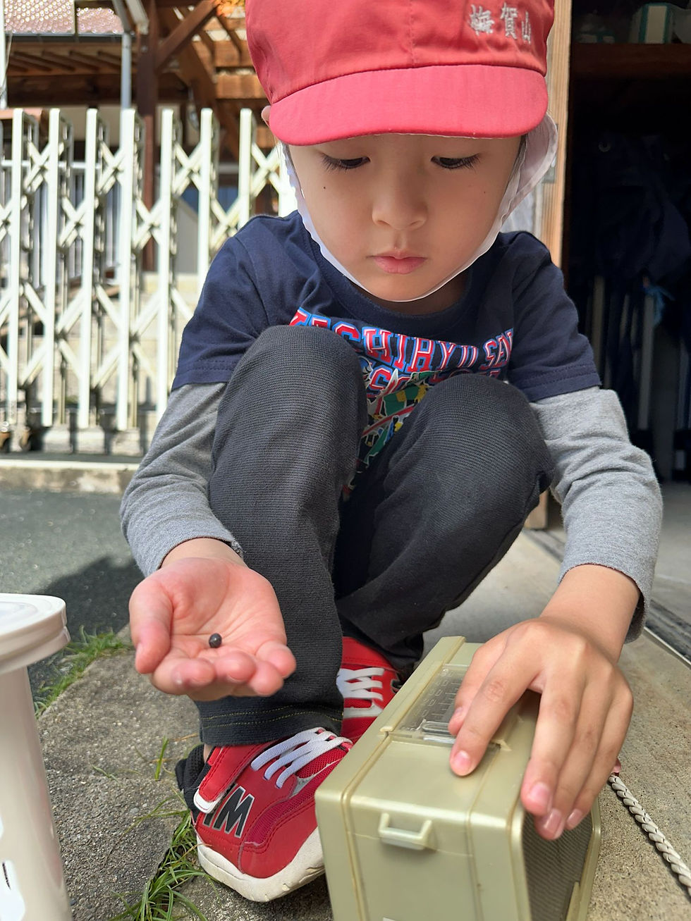 お外遊び日和ー梅賀山保育園 益田市保育園