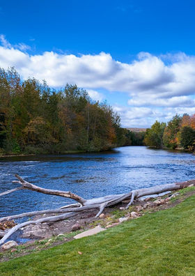 Farmington River.JPEG