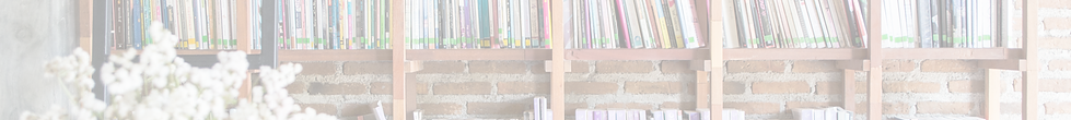 Library Bookshelves_edited.png