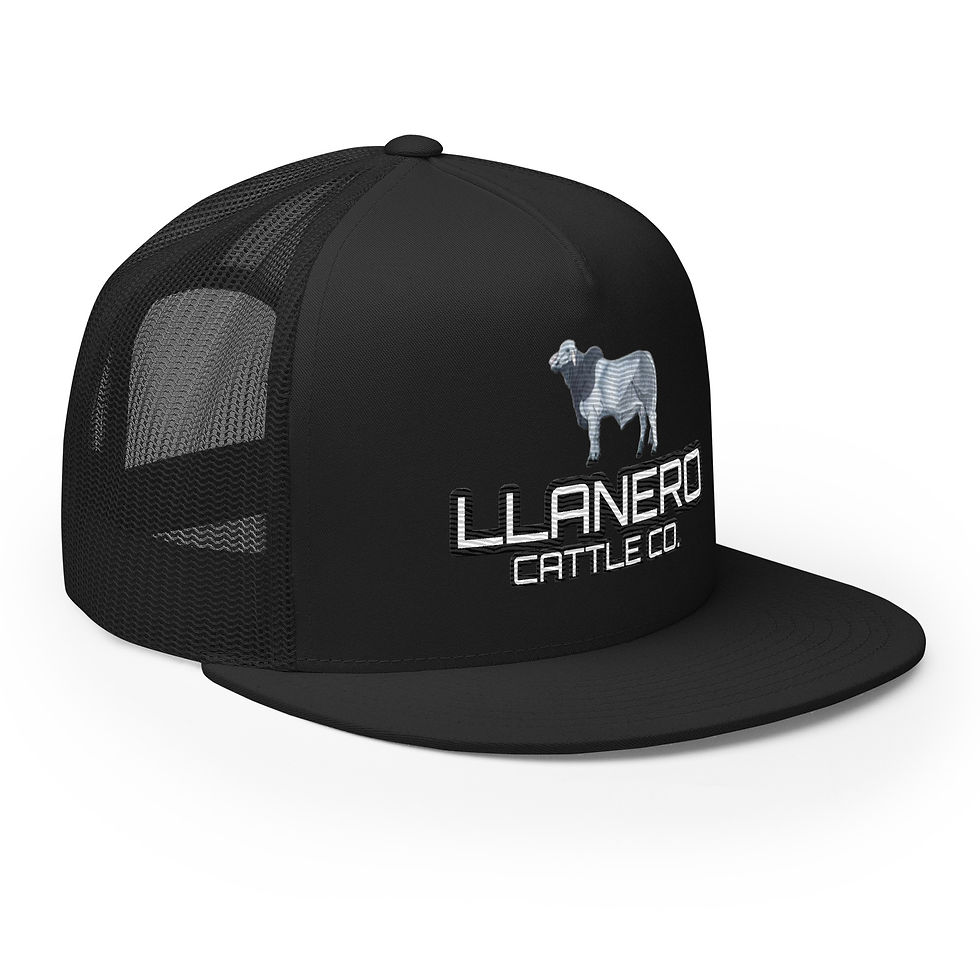 Thumbnail: Llanero Cattle Co. Brahman II - Yupoong 6006
