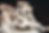 Thumbnail: king trumpet mushroom