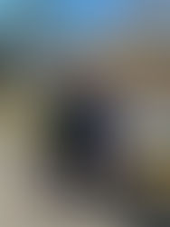 Meet The Harwood Family