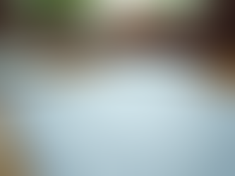 Mastering the Fundamentals of Consumer Credit: Understanding Consumer Credit for Financial Success