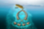 Lily Maldives ลิลี่ มัลดีฟส์ All inclusive ที่ดีที่สุด และห้องกลางน้ำที่มีพื้นกระจกแผ่นใหญ่มองเห็นปลาเยอะมาก แนวปะการังโดยรอบสมบูรณ์มาก คุ้มสุด เหมาะมากกับคู่รักฮันนีมูนดูโปรกดเลย
