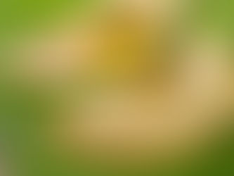 puran poli served on a banana leaf with ghee over it