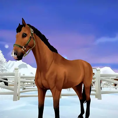 horse-4100412_1280.png