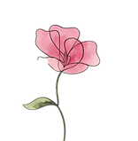 Pink Green Floral Illustrative Flower Ma