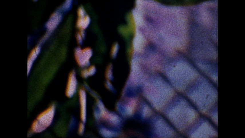 CLEANSE 09 -19 Grant Speich 4.0.00_02_22_15.Still004.jpg