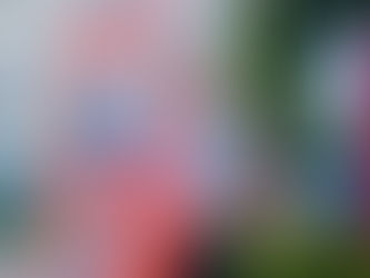 おはようございます!朝カツ!